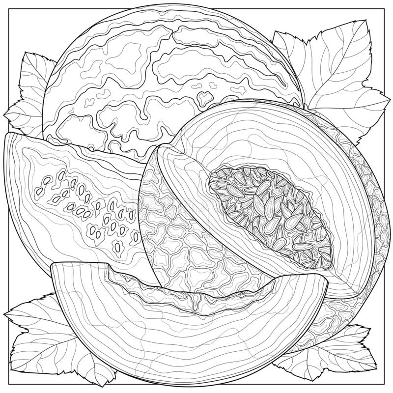 Online coloring book: Antistress coloring book with watermelons
